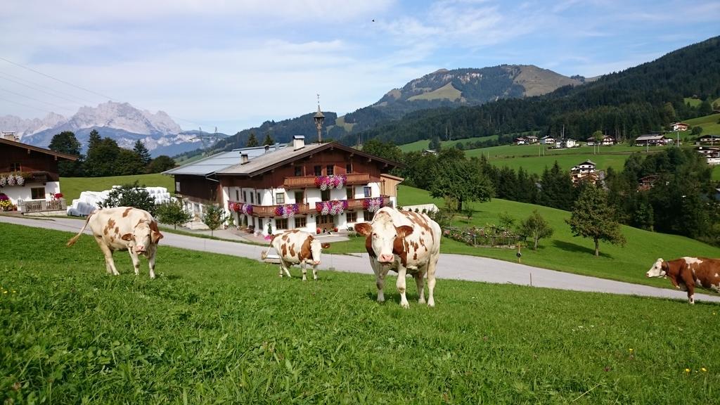 فيلا Bio-Bauernhof Niederlehen فيبربرن المظهر الخارجي الصورة